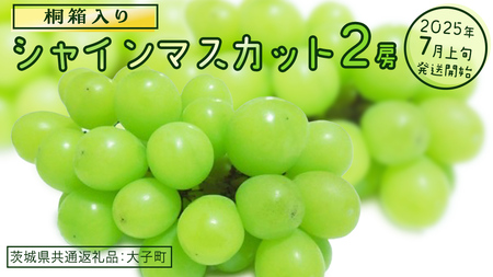 y˔z VC}XJbg Q[ y2025N7{Jnz(錧ʕԗiFq) Ԃǂ  }XJbg t[c ʕ p Mtg 蕨