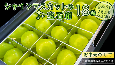 [ お中元 ]『 シャインマスカット の宝石箱 (18粒) 』[2025年7月上旬発送開始](茨城県共通返礼品:大子町) ぶどう 葡萄 マスカット フルーツ 果物 贈答用 ギフト 贈り物