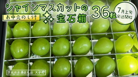y  zw VC}XJbg ̕Δ (36) xy2026N7{Jnz(錧ʕԗiFq) Ԃǂ  }XJbg t[c ʕ p Mtg 蕨