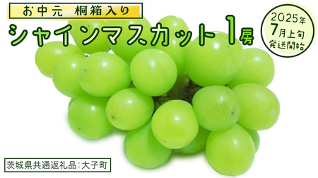 [ お中元 桐箱入り] シャインマスカット 1房 [2025年7月上旬発送開始](茨城県共通返礼品:大子町) ぶどう 葡萄 マスカット フルーツ 果物 贈答用 ギフト 贈り物