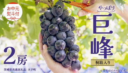 [ お中元 桐箱入り] 巨峰 2房 [2025年8月上旬発送開始](茨城県共通返礼品:大子町)ぶどう 葡萄 ブドウ フルーツ 果物 スイーツ ギフト 贈答用 贈り物 プレゼント