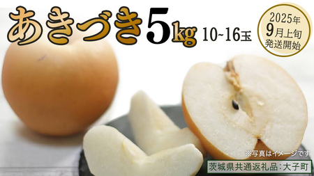 あきづき 約5kg (10〜16個)[2025年9月上旬発送開始](茨城県共通返礼品:大子町) 秋月 梨 なし 果物 くだもの フルーツ