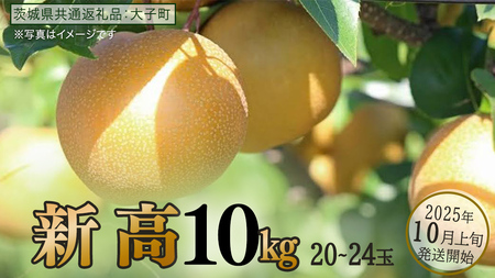 V 10kg (20`24)y2025N10{Jnz(錧ʕԗiFq)  Ȃ ʕ  t[c ɂ