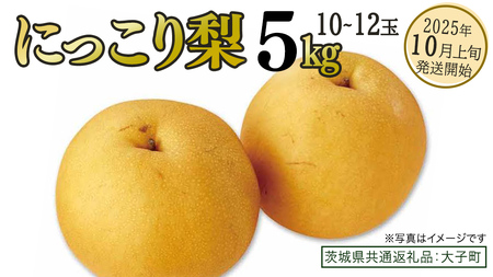 ɂ藜 5kg (10`12)y2025N10{Jnz(錧ʕԗiFq)  Ȃ ʕ  t[c ɂ