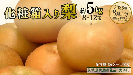 [化粧箱入り]梨 約5kg (8〜12玉)[2025年8月上旬発送開始](茨城県共通返礼品:大子町) なし 果物 くだもの フルーツ おまかせ 旬