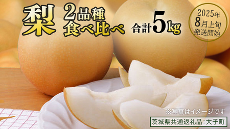 yHהׁz  2i v 5kg y2025N8{Jnz (錧ʕԗiFq) Ȃ ʕ  t[c ܂ {