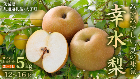 ��錧�Y �� �K�� �T�C�Y ���܂��� �i2L�` 4L �j 5kg�i 12�`16�� �j�y2026�N8�����{�����J�n�z (��錧���ʕԗ�i�F��q��)