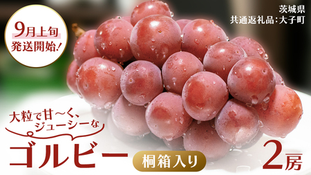 y˔z Sr[ Q[ y2026N9{Jnz(錧ʕԗiFq)