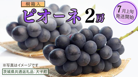 y˔z sI[l Q[ y2025N7{Jnz(錧ʕԗiFq) uhE Ԃǂ  sI[l ʕ t[c ʎ p 蕨 Mtg v[g