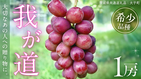 䂪 P[y2026N9{Jnz(錧ʕԗiFq)