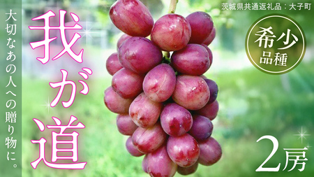 䂪 Q[y2026N9{Jnz(錧ʕԗiFq)