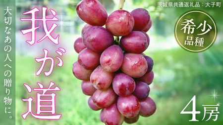 䂪 S[y2025N9{Jnz(錧ʕԗiFq) VC}XJbg ECN  uhE Ԃǂ ʕ t[c  Vi