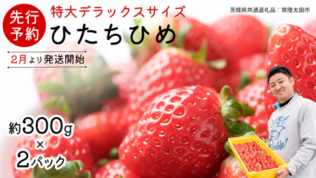 y s\ z ЂP ( 2pbN )  fbNX TCY y 2026N2甭Jn z( 錧ʕԗi : 헤cs )  ʌ ʕ  t[c  C`S Xgx[