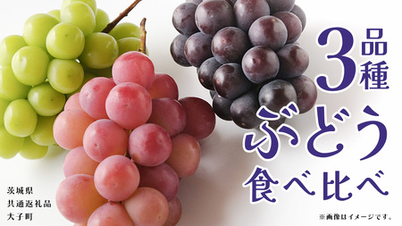 ぶどう 3品種 食べ比べ [2025年8月上旬発送開始](茨城県共通返礼品:大子町) ブドウ 葡萄 シャインマスカット 巨峰 ピオーネ ゴルビー 我が道 果物 フルーツ 果実