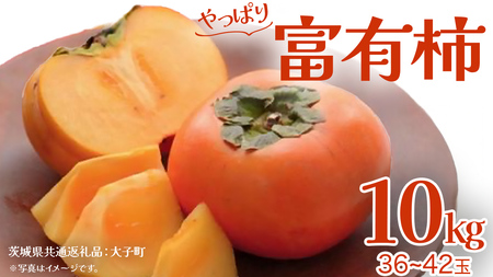 xL` 10kg (36`42)y2025N11{Jnz(錧ʕԗiFq) `  t[c ʕ H̖o {