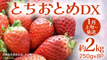 ƂƂ DX 2kg (250g×8P)y2026N1{Jnz(錧ʕԗiFq)   C`S ʕ t[c 