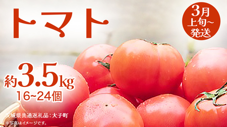 g}g 3.5kg (16`24)y2026N3{Jnz(錧ʕԗiFq) Ƃ܂  ₳