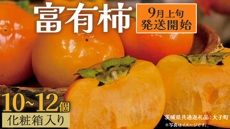 [化粧箱入り]富有柿10〜12個[2025年9月上旬発送開始](茨城県共通返礼品:大子町) 柿 かき カキ 果物 フルーツ 旬 季節限定 期間限定 贈答用 ギフト 贈り物
