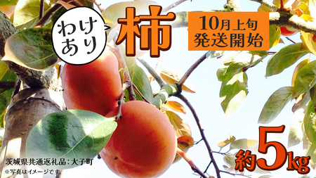 [ 訳あり ] 柿 約5kg[2025年10月上旬発送開始](茨城県共通返礼品:大子町) 柿 かき カキ 果物 フルーツ 旬 季節限定 期間限定