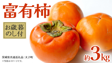 [ お歳暮 熨斗付き ]富有柿 約3kg [2025年12月上旬発送開始](茨城県共通返礼品:大子町) 果物 フルーツ 旬 季節限定 期間限定 贈答用 ギフト 贈り物