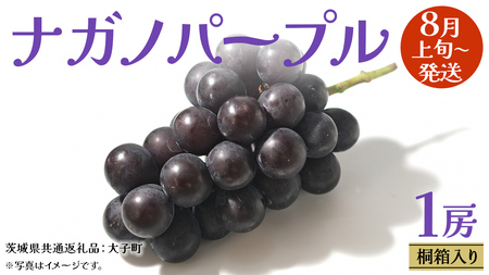 y ˔ z iKmp[v 1[ y2025N8{Jnz(錧ʕԗiFq) Ԃǂ  uhE ʕ t[c ʕ p Mtg 蕨