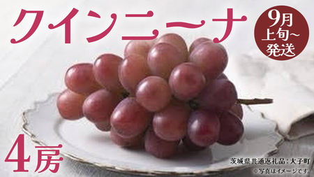 NCj[iS[ y2025N9{Jnz(錧ʕԗiFq) Ԃǂ  uhE ʕ t[c ʎ