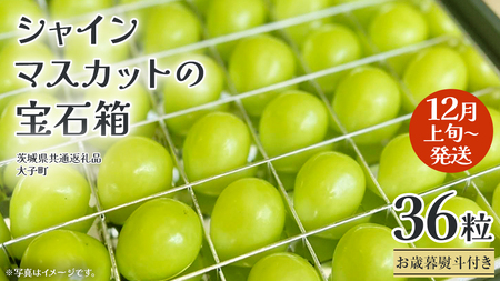 y Ε lt z VC}XJbg ̕Δ 36 y2025N12{Jnz(錧ʕԗiFq) Ԃǂ  t[c ʕ p Mtg 蕨