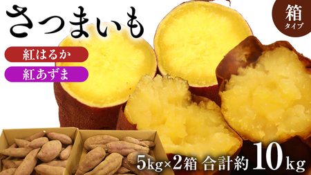 さつまいも [ 紅あずま ・ 紅はるか ] 5kg ( 箱込 )の 2箱セット さつまいも 詰合せ 国産 農園 野菜 サツマイモ 芋 期間限定 デザート スイーツ おやつ 料理 味噌汁 煮物 生芋
