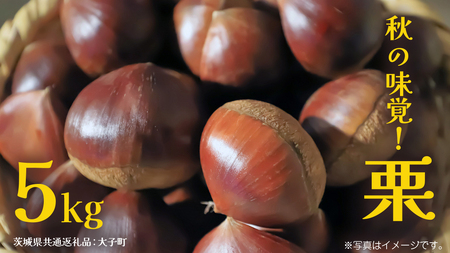 �H�̖��o�u �I �v5kg�y2026�N9����{�����J�n�z(��錧���ʕԗ�i�F��q��)