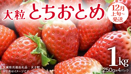 ƂƂ 嗱 250gi8`12j×4pbNy2025N12{Jnz(錧ʕԗiFq)   ʕ t[c ʎ