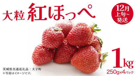 gق 嗱 250gi8`12j×4pbNy2025N12{Jnz(錧ʕԗiFq)   ʕ t[c ʎ