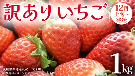 訳あり いちご 1kg[2025年12月上旬発送開始](茨城県共通返礼品:大子町) 苺 果物 フルーツ 果実 ご家庭用