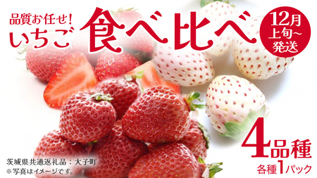 いちごの 食べ比べ 4品種×1パック[2025年12月上旬発送開始](茨城県共通返礼品:大子町)