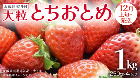 [ お歳暮 熨斗付き ] とちおとめ 250g(8〜12粒)×4パック[2025年12月上旬発送開始](茨城県共通返礼品:大子町)