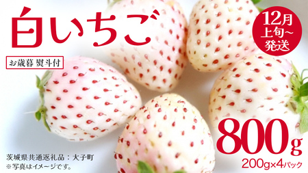 y Ε lt z  200gi8`12j×4pbNy2025N12{Jnz(錧ʕԗiFq)   ʕ t[c ʎ p Mtg 蕨