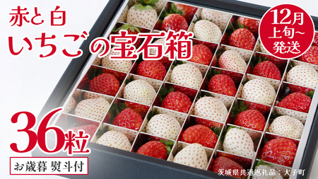 y Ε lt z Ԃ   ̕Δ36y2025N12{Jnz(錧ʕԗiFq)   ʕ t[c ʎ p Mtg 蕨