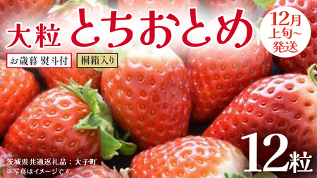 y Ε lt z ˔ 嗱 ƂƂ 12y2025N12{Jnz(錧ʕԗiFq)   ʕ t[c ʎ p Mtg 蕨