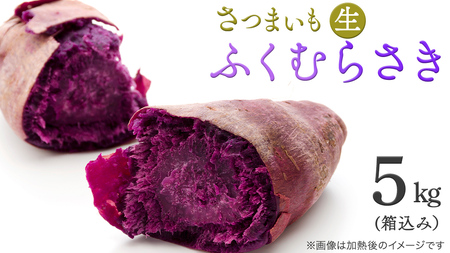 さつまいも [ ふくむらさき ] 5kg ( 箱込 )