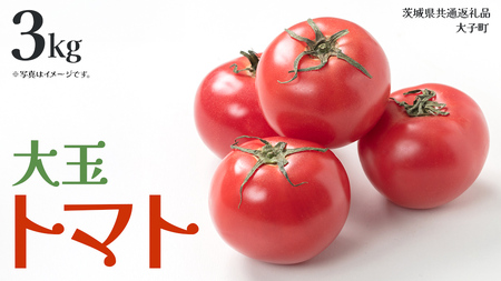 大玉 トマト 3kg (茨城県共通返礼品:大子町)