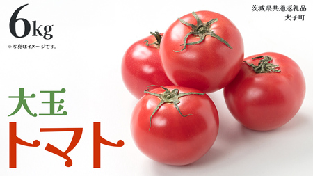  g}g 6kg (錧ʕԗiFq)