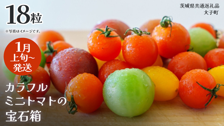 カラフル ミニトマト の宝石箱 18粒[2026年1月上旬発送開始](茨城県共通返礼品:大子町)