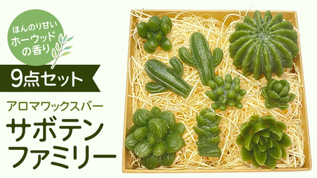 アロマワックスバー サボテンファミリー 9点セット ( ホーウッド / 緑色 )