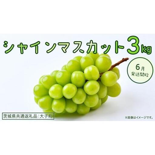 シャインマスカット 3kg 【2026年6月発送開始】(茨城県共通返礼品：大子町)