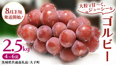 ゴルビー 2.5kg (4～6房)【2026年8月下旬発送開始】(茨城県共通返礼品：大子町)