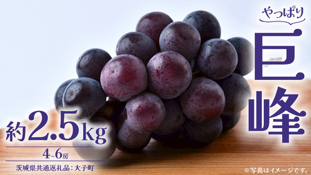 巨峰 2.5kg (4～6房)【2026年8月下旬発送開始】(茨城県共通返礼品：大子町)