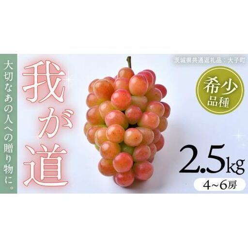 我が道 2.5kg (4～6房)【2026年8月下旬発送開始】(茨城県共通返礼品：大子町)