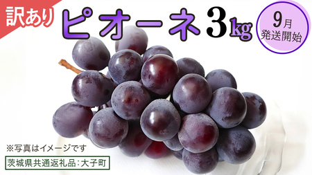 [ 訳あり ] ピオーネ 3kg [2026年9月発送開始](茨城県共通返礼品:大子町)