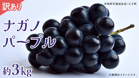 [ 訳あり ]ナガノパープル 3kg [2026年9月上旬発送開始](茨城県共通返礼品:大子町)