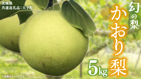 かおり 梨 5kg [2026年8月中旬発送開始](茨城県共通返礼品:大子町)