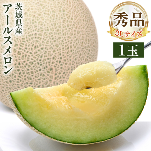 【 先行予約 】茨城県産 アールスメロン 秀品 3L サイズ × 1玉 入り 【 2026年8月下旬から発送 】 おすすめ JA全農いばらき JA メロン めろん ふるさと納税 フルーツ 予約 マスクメロン くだもの 果物 国産旬 定番 旬 期間限定 青肉 果物